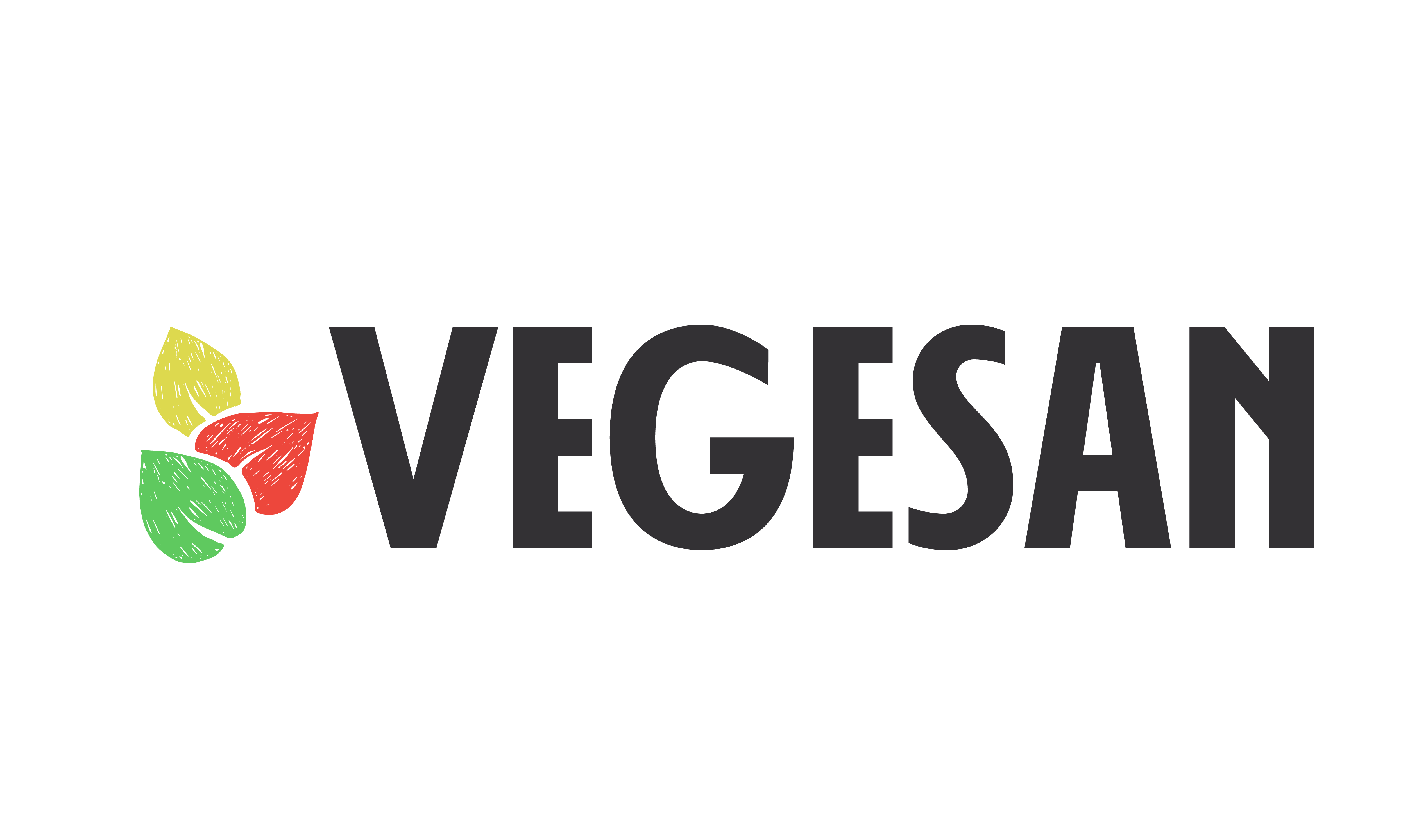 vegesan logo